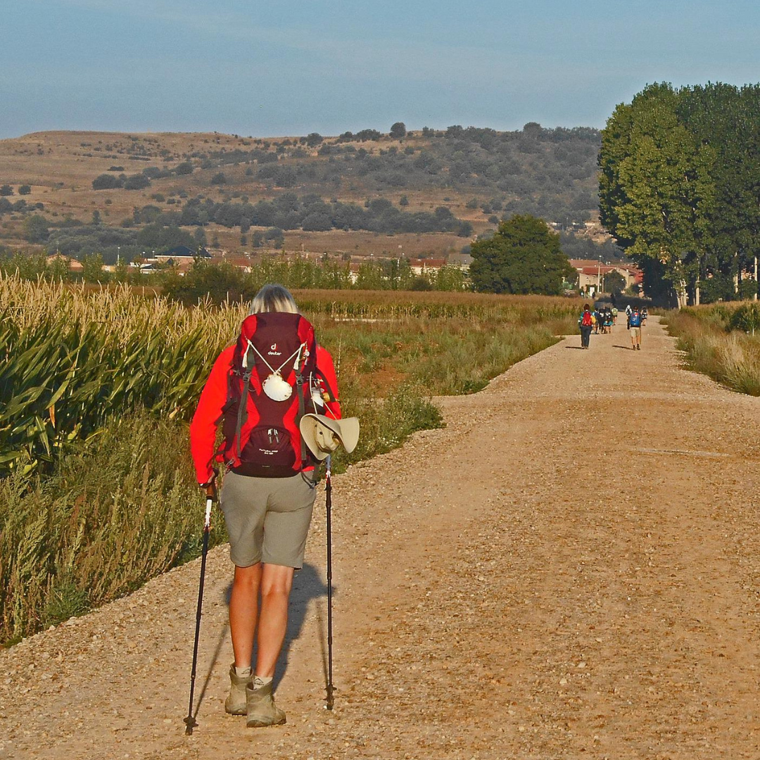 Albergues del camino